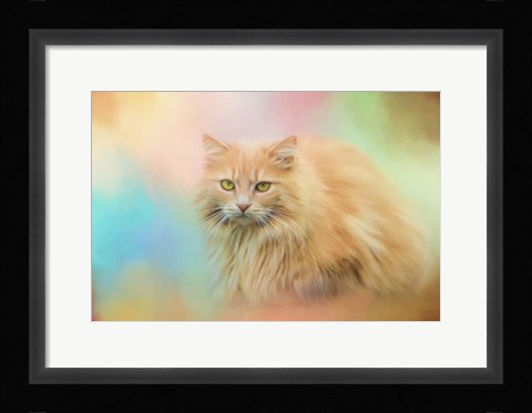 Framed Waiting for Birds Print