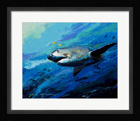 Framed Mighty Bull Shark Print