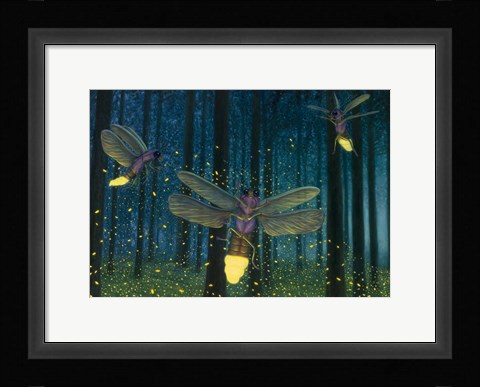 Framed Night Light Flight Print