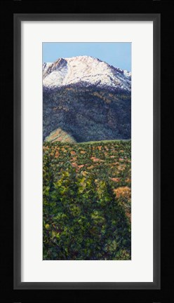 Framed Pike's Peak in Summer Print