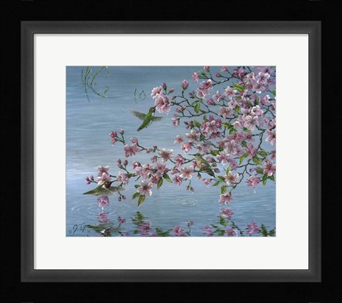 Framed Broad Tailed Hummer Print