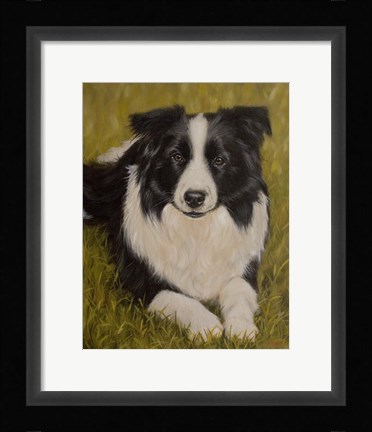 Framed Collie Resting 2 Print