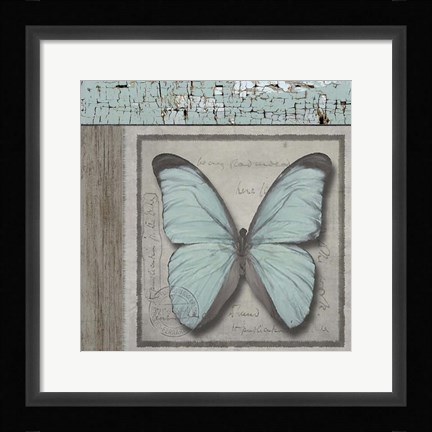 Framed Butterfly Blue Print