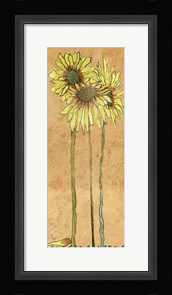 Framed Daisy's Print