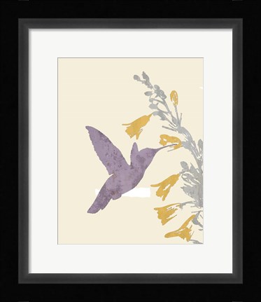 Framed Hummingbird and flowers Print