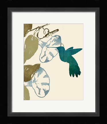 Framed Hummingbird and Morning Glories Print