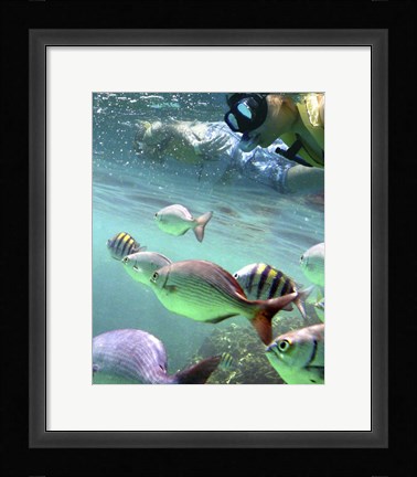 Framed Snorkeling Print