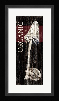Framed Organic Mushroom Print