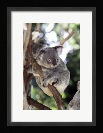 Framed Australia 4 Print