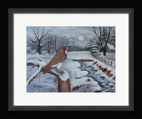 Framed Red Tailed Hawk Print