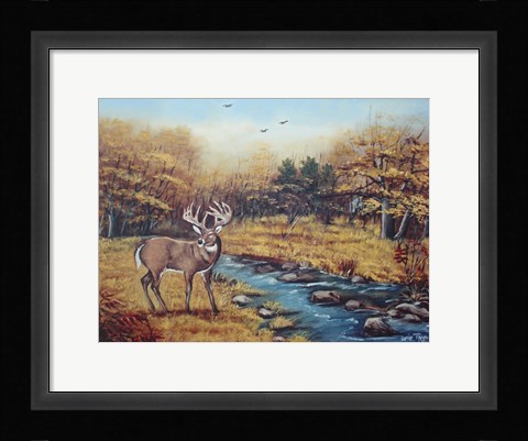 Framed Monarch Print