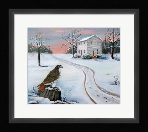 Framed Old St. Paul's and the Hawk Print