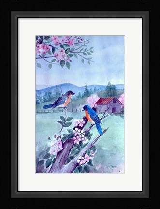 Framed Bluebirds and Apple Blossoms Print