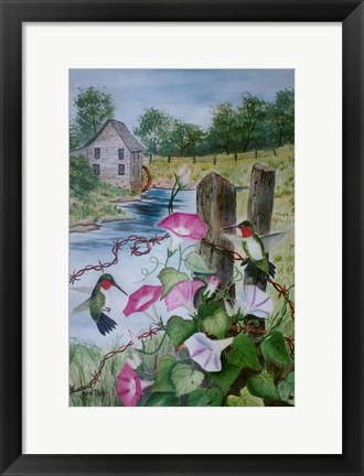 Framed Hummingbirds Print