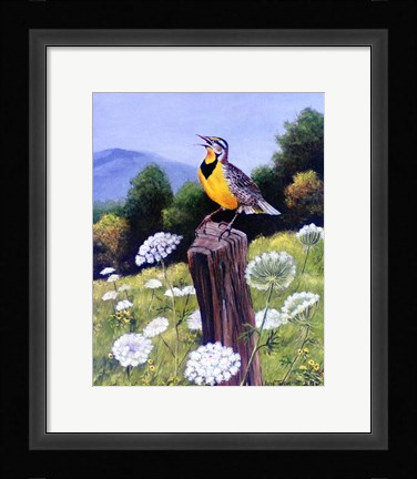 Framed Meadowlark Print