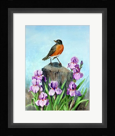 Framed Robin Print