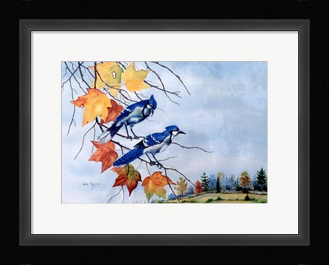 Framed Blue Jays Print