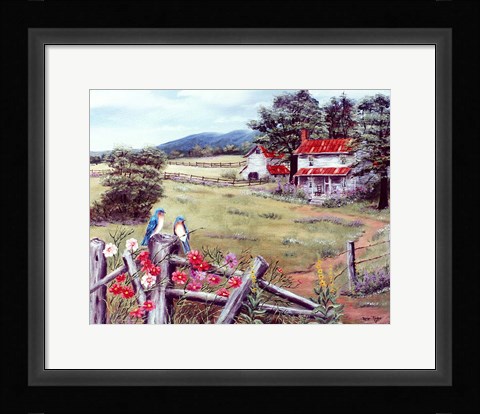 Framed Bluebirds And Baker's Mtn Print