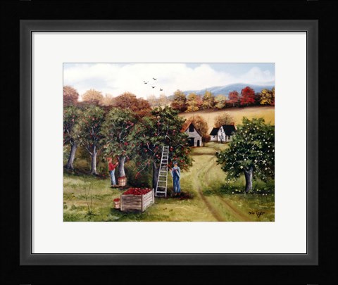Framed Apple Orchard Print