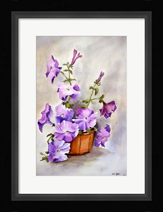 Framed Petunia Print