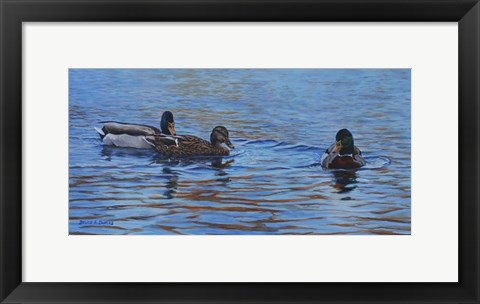 Framed Autumn Outing Mallards Print