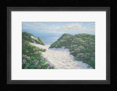 Framed Herring Cove Dunes Print