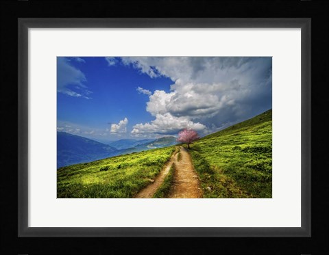 Framed Perseverence Print