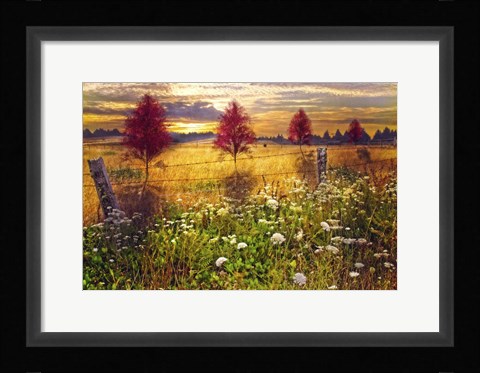 Framed Sunset Shadows Print