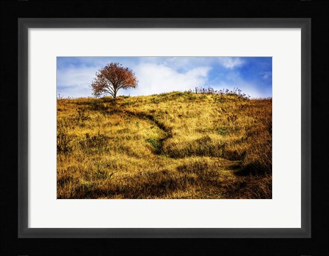 Framed Challenge Print