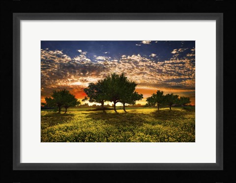 Framed Shadows in the Meadow Print