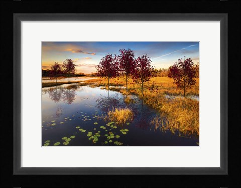 Framed Everglades at Dusk Print