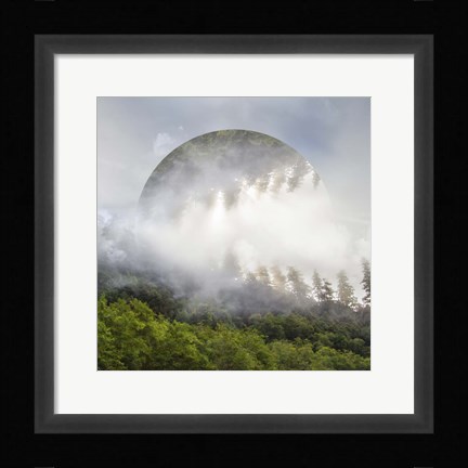 Framed Circle of Life Print