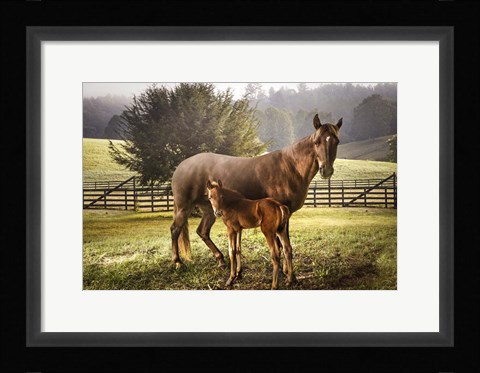 Framed Love Me Tender Print