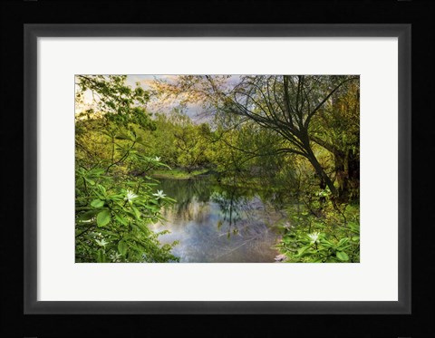 Framed Magnolia Overlook in Summer Print