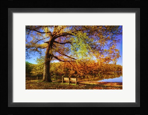Framed I Will Wait for You in Fall Print