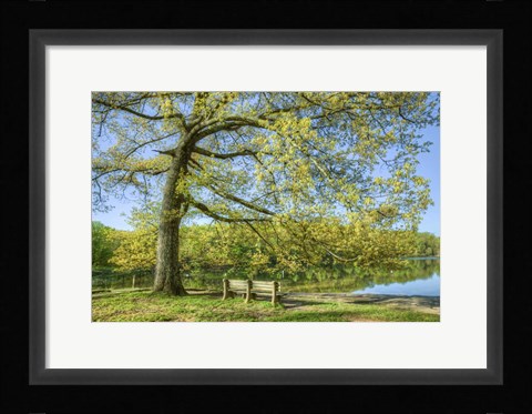 Framed I Will Wait for You in Spring Print