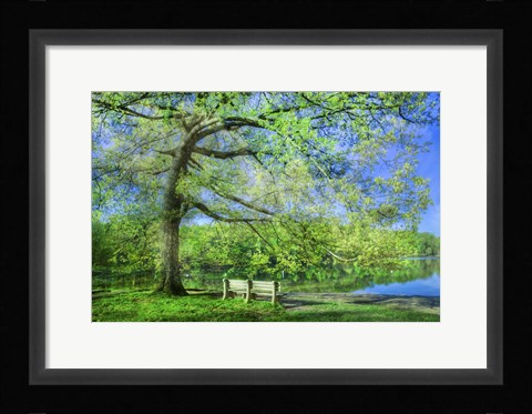 Framed I Will Wait for You in Summer Print