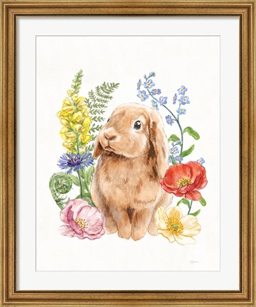Framed Sunny Bunny I FB Print