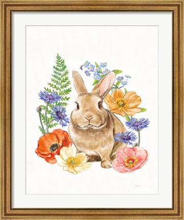 Framed Sunny Bunny II FB Print