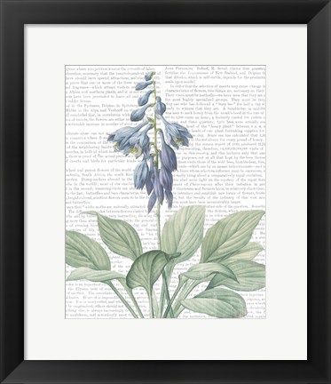 Framed Summer Botanicals II Print