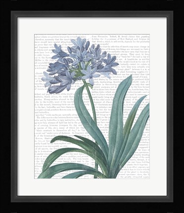 Framed Summer Botanicals I Print