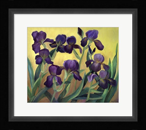 Framed Purple Bearded Iris Print