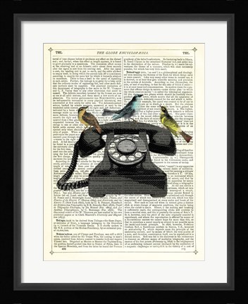 Framed Birdcall Print