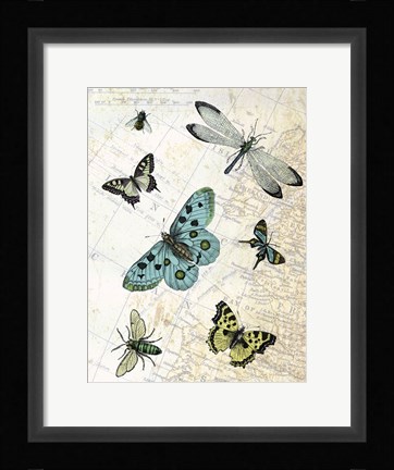 Framed Flying High Print