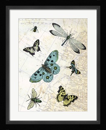 Framed Flying High Print