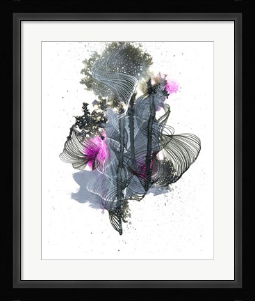 Framed Evolution Print