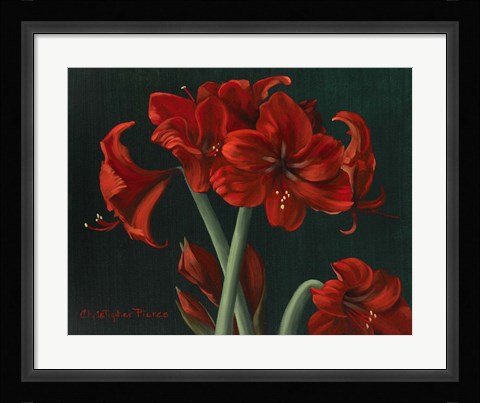 Framed Crimson Beauties Print