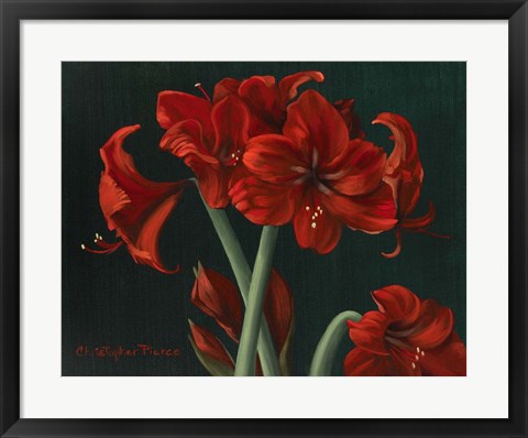 Framed Crimson Beauties Print