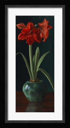 Framed Amarillys II Print