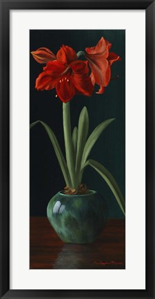 Framed Amarillys II Print